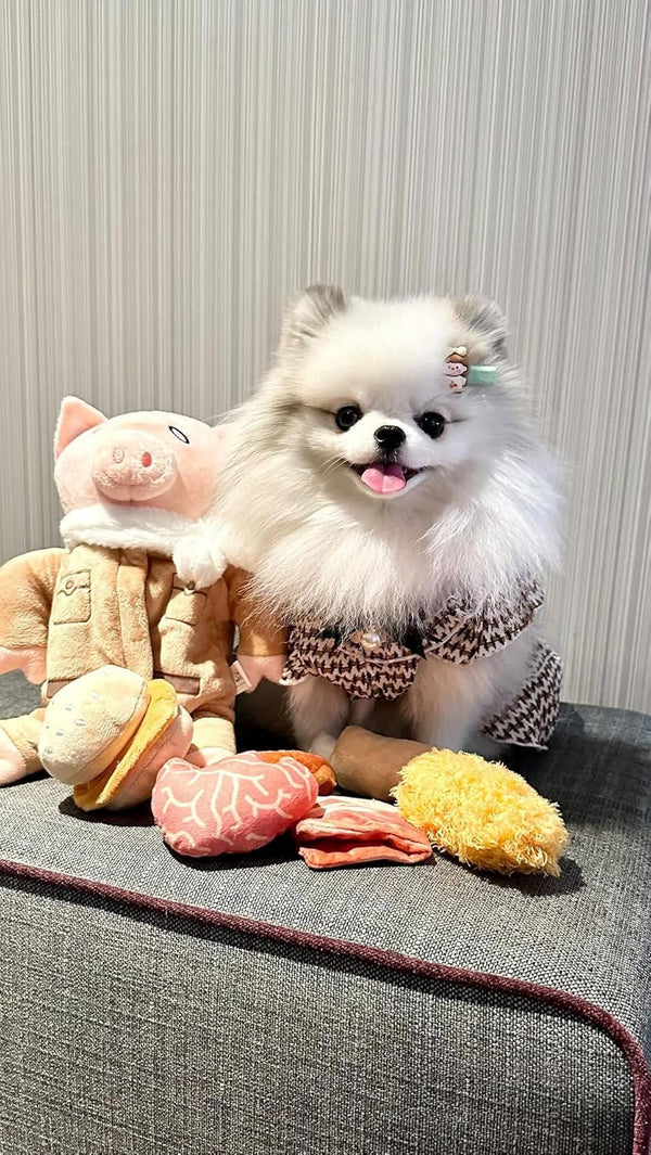 Nocciola Stuffed Pig Dog Toys: Hide and Seek Funny Squeaky Crinkle Plush Dog Chew Toys for Small Medium Breed, Cognitive Training Pet Enrichment Gifts Supplies9