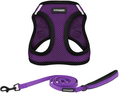 Best Pet Supplies Voyager Step-In Air All Weather Mesh Harness and Reflective Dog 5Ft Leash Combo with Neoprene Handle, for Small, Medium and Large Breed Puppies - Baby Blue, Small11