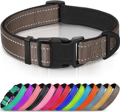 Joytale Reflective Dog Collar, Adjustable Neoprene Padded, Teal L | Breathable Nylon for Large Dogs, No Chafing on Walks and Outdoor Hikes, Tear-Resistant Webbing, Metal D-Ring, Night Safety13