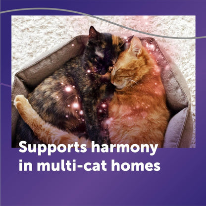 FELIWAY Optimum Cat Calming Diffuser Kit and 1 Pack Refill – Advanced Support to Help Reduce Urine Spraying, Scratching, Fighting and Hiding Due to Stress – All in One Cat Pheromone Plug in Diffuser4