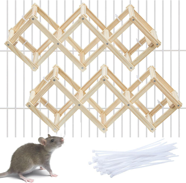 Kiln-Dried Wood Rat Climb Toy, Hanging Cage Ladder Activity (M, 1Pc) | Natural Rat Cage Bridge, Multiple Openings & Directional Ramps Offer Challenges to Satisfy Rats' Instincts for Explore & Play6
