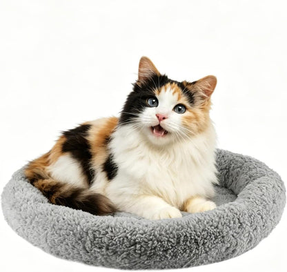 LESYPET Cat Bed for Indoor Cats, Soft Cat Cushion with Cat Pillow Around, Rectangle Kitten Pad Small Bed for Window Sill, 15'' X 10''9