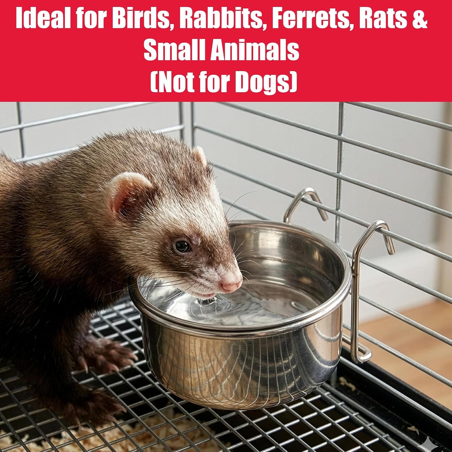 spot-stainless-steel-mini-coop-cup-with-wire-hooks-10-oz-small-pet-food-water-bowl-rust-resistant-easy-to-clean-attaches-to-cages-for-birds-parrots-rabbits-ferrets-rats-small-pets