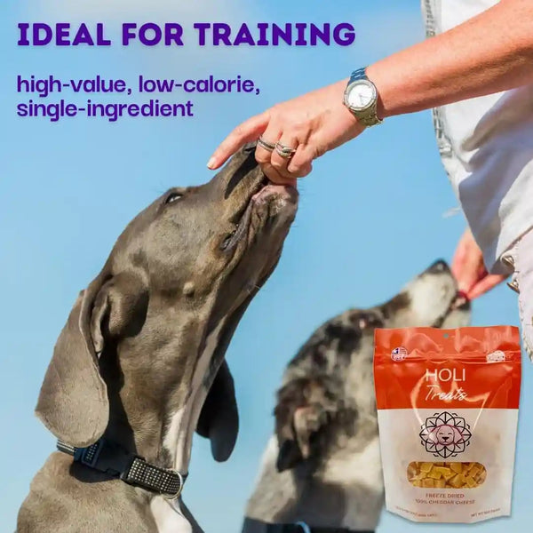 HOLI Freeze Dried Cheddar Cheese Dog Treats - 100% All Natural - Human Grade, Single Ingredient, Lactose Free - Grain Free, Gluten Free, Soy Free – (5 Ounce)2