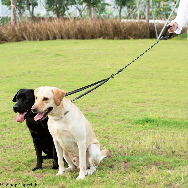 Double Dog Leash, 360° Swivel, No Tangle, Large, 25-150 Lbs, Black | Dual Leash for Two Dogs, Split Leash, Shock-Absorbing Bungee, Padded Handle, Heavy-Duty Rope6