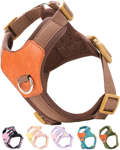Green Xs Dog Harness for Small Dogs, No Pull Dog Harness with 2 Leash Clips, Puppy Harness, Dog Vest Harness(Green, XS)11