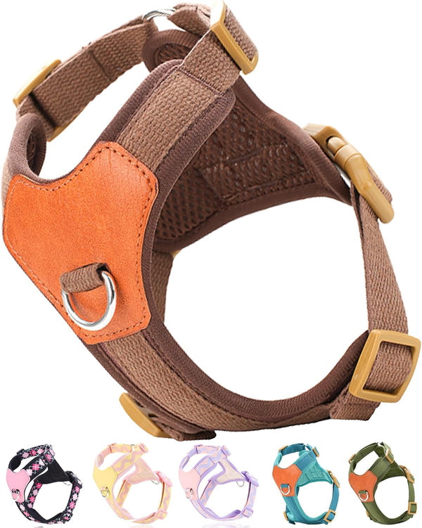 Green Xs Dog Harness for Small Dogs, No Pull Dog Harness with 2 Leash Clips, Puppy Harness, Dog Vest Harness(Green, XS)11