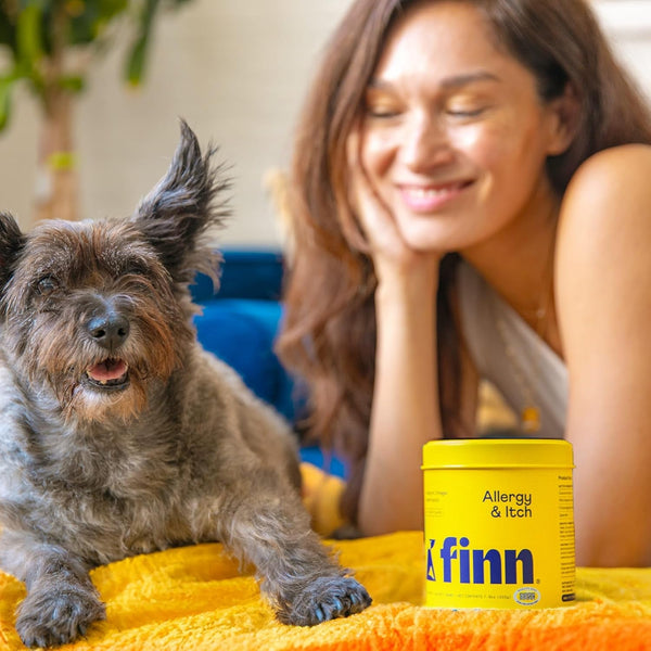Finn Allergy & Itch Soft Chews for Dogs - Colostrum & Bee Propolis - 90 Ct | Quercetin & Probiotics - NASC Certified - Vet-Formulated - Seasonal & Environmental Allergy Relief4