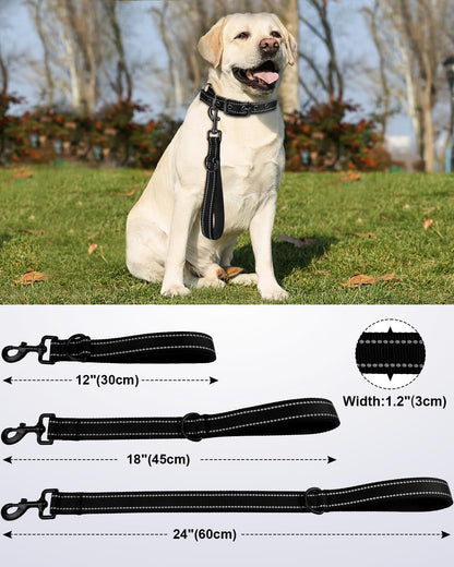Joytale Short Dog Leash for Close Control & Training, 18", Black | Padded Comfort Handle, Reinforced Nylon Webbing, Secure Metal Clip, for Busy Streets & Heel Training2