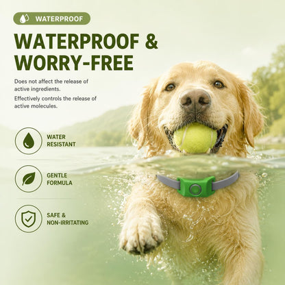 Dog Collar, Adjustable Dog Collar Holder Small Medium Large Dogs | Waterproof Dog Collar Silicone Dog Airtag Holder with 2Pcs Refills7