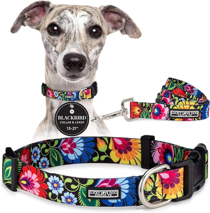 Lucky Love Dog - Easy Click Buckle Dog Collar with Leash Set Combo, Durable & Comfortable for Male & Female Dogs, Pet Collar for Medium Dogs, Secure Fit - Blackbird Combo, Medium1