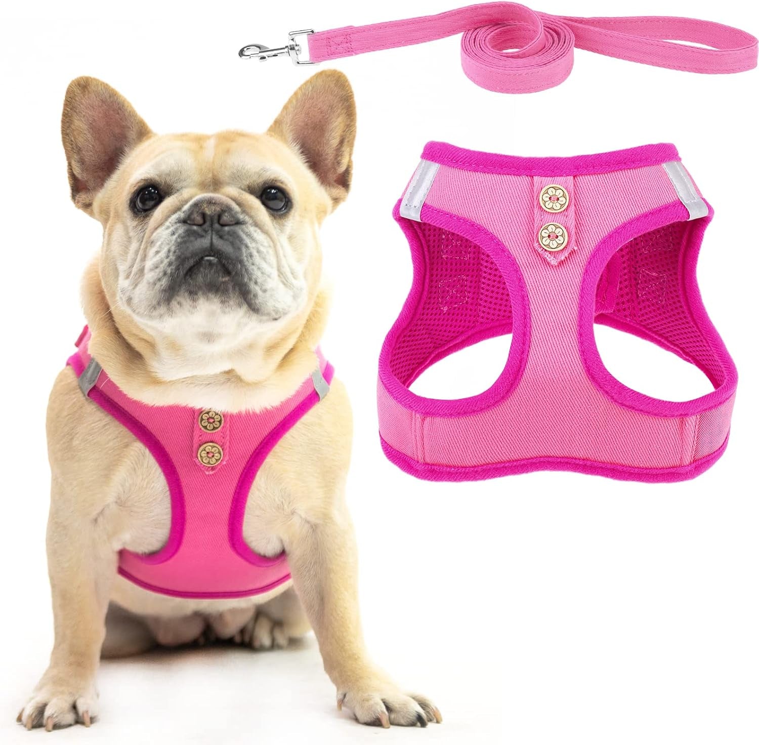 pupteck-dog-harness-and-leash-set-for-small-medium-dogs-no-pull-step-in-soft-mesh-puppy-cat-vest-harnesses-reflective-at-night-green-s