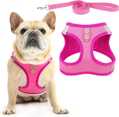 PUPTECK Dog Harness and Leash Set for Small Medium Dogs No Pull Step-In Soft Mesh Puppy Cat Vest Harnesses Reflective at Night, Green S21