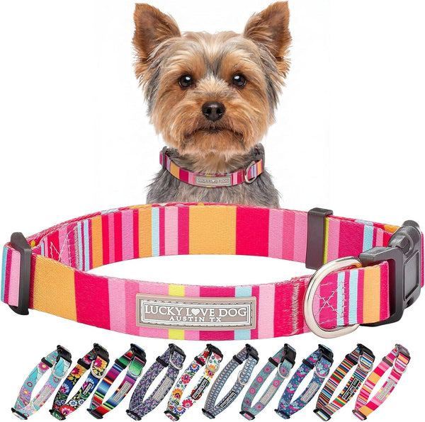 Lucky Love Dog - Easy Click Buckle Dog Collar with Leash Set Combo, Durable & Comfortable for Male & Female Dogs, Pet Collar for Medium Dogs, Secure Fit - Blackbird Combo, Medium27