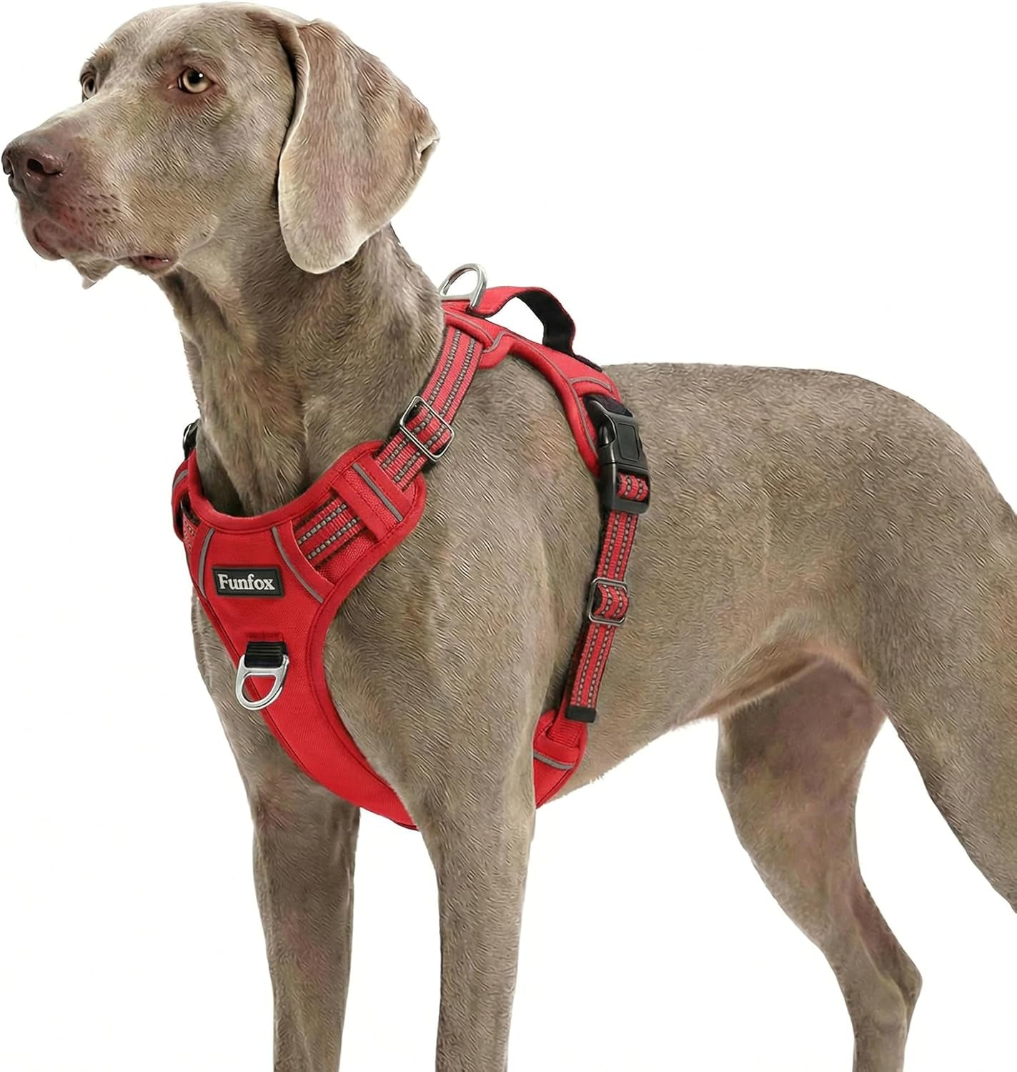 funfox-dog-harness-medium-sized-dog-vertical-handle-easy-control-no-pull-pet-vest-adjustable-with-2-leash-clips-soft-material-reflective-safe-night-walking-for-small-medium-large-breed-black-m
