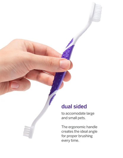 Petsmile Professional Pet Toothbrush, Patented 45° Cats + Dogs | Patented 45° Angled Brush Head, Soft Bristles, Reaches below Gumline, Small + Large Pets, Vet-Recommended, Ergonomic Handle3