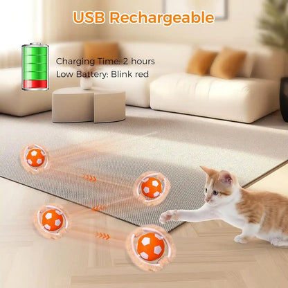 VIWIK Interactive Cat Toys for Indoor Cats, Hide and Seek Mouse Catching Game Cat Ball Toy, Automatic Motion Activated Kitten Toys, Low Noise Fast Rolling Ball in Play Mat for Bored Adult Cats6