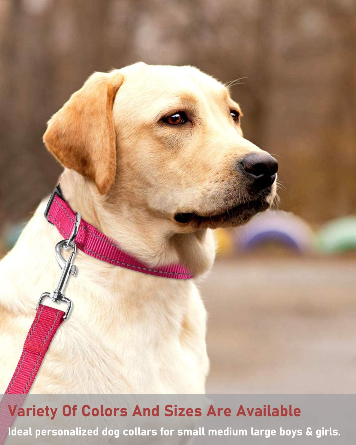 reflective-dog-collar-with-buckle-adjustable-safety-nylon-collars-for-small-medium-large-dogs-pink-m-breathable-nylon-collars-for-small-medium-large-dogs-no-chafing-on-walks-and-outdoor-hikes-metal-d-ring-night-safety