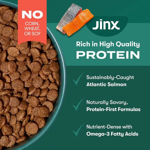 Jinx Grain Free Dry Dog Food - Real Salmon, Sweet Potato & Carrot, 4Lb | Premium Kibble for Digestive Support & Healthy Immunity - No Fillers, All Lifestages (Puppy, Adult & Senior), Breeds & Sizes4