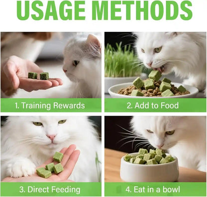 Cat Grass Treats for Indoor Cats, Crunchy Wheatgrass Snacks for Cats, 120G | Ready-To-Eat Wheatgrass Treats,Supports Natural Digestive Health & Hairball Passage,Grain-Free & Crunchy for Dental Care4