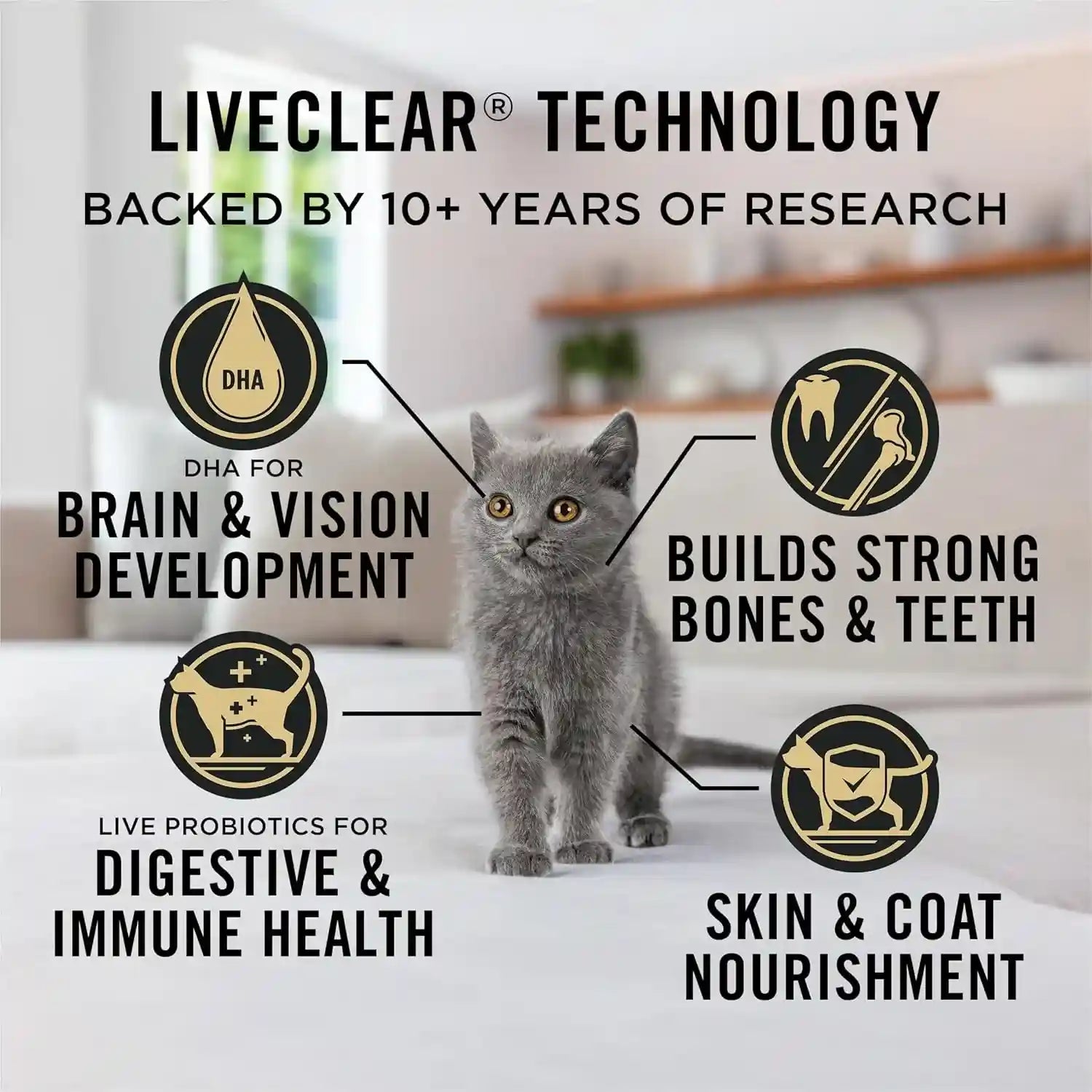 purina-pro-plan-liveclear-dry-cat-food-for-kittens-cat-allergen-reducer-chicken-and-rice-formula-5-5-lb-bag