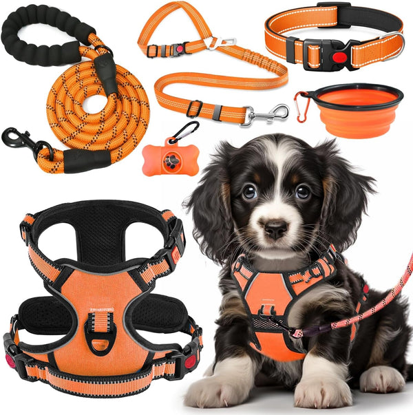 LOBEVE No Pull Dog Harness, Collar & Leash Set | Includes Dog Seat Belt, Collapsible Bowls & Poop Bag Dispenser. Ideal for Training, Walking, Hiking. Fits Small to Large Dogs(Pink-L)9