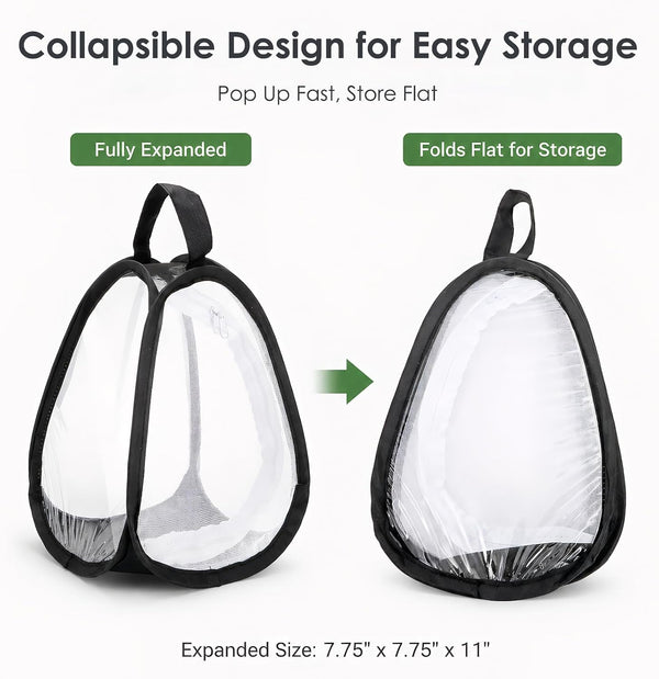 Kingrol 2 Pack Collapsible Insect & Butterfly Habitat Cage, Pop-Up Mesh Butterfly Rearing Enclosure with Clear Viewing Window, Zipper Access & Polyester Base, 7.75 X 7.75 X 11 Inch4