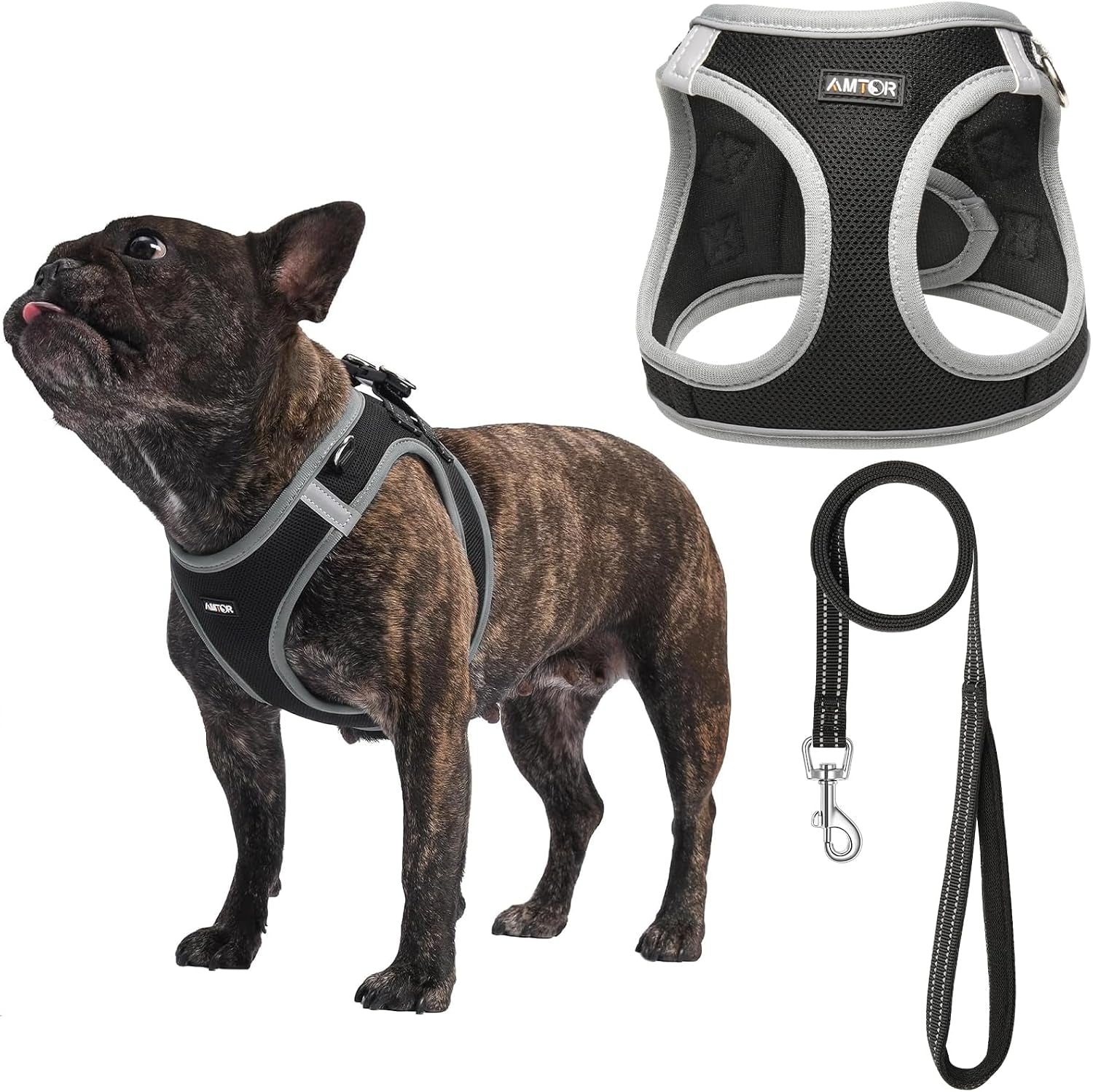 amtor-small-dog-harness-with-leash-set-no-escape-easy-walk-puppy-harnesses-for-training-walking-step-in-reflective-soft-dogs-vest-for-xs-s-medium-extra-small-large-sized-doggreen-s