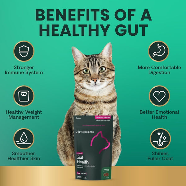 Vetriscience Gut Health Chews, Probiotic Everyday Digestive Supplement for Cats, Pet Probiotics for Digestion Support, Gas and Diarrhea, Immune Support, 120 Million CFU per Chew, Duck, 60 Count3