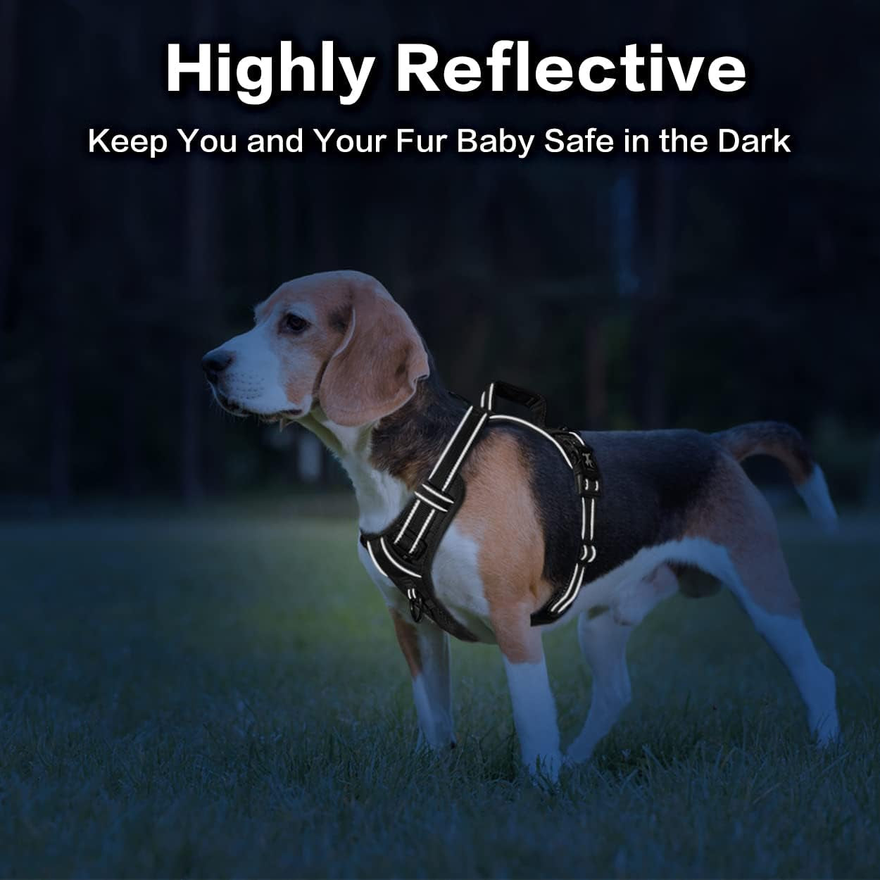 poypet-no-pull-dog-harness-no-choke-front-clip-reflective-dog-vest-with-soft-padded-vertical-handle-3-leash-attachments-for-small-medium-large-dogs-black-xl