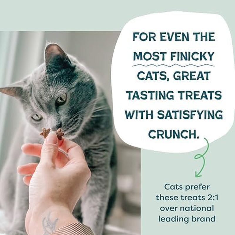 shameless-pets-crunchy-cat-snacks-treats-healthy-cat-treats-for-indoor-cats-kittens-with-catnip-real-chicken-digestive-support-catnip-n-chill-2-5-oz