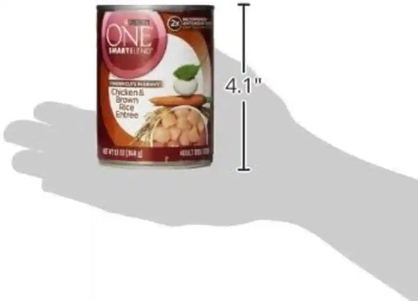 Purina ONE Natural High Protein Dog Food, Tender Cuts in Gravy Chicken and Brown Rice Entrée - 13 Ounce (Pack of 12)3