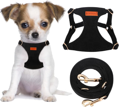 CHEDE No Pull Puppy Harness and Multifunction Dog Leash Set- 8 Colors Soft Adjustable No Choke Escape Proof Cute,Lightweight Pet Vest Harness for Small and Medium Dog…6