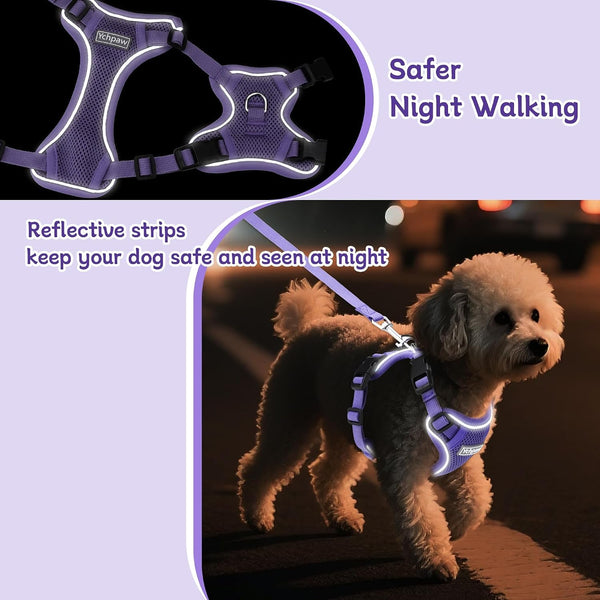 Small Dog Harness and Leash Set, Adjustable Small Sized Pet Vest | Reflective Soft Breathable Mesh, 3 Buckles, Adjustable Neck and Chest, Easy on and Comfortable Secure Walking, Purple, S4