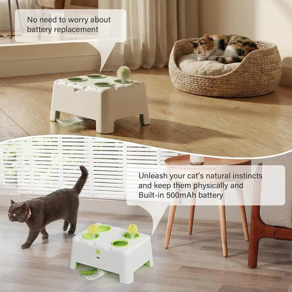 Magic House Interactive Cat Toy with 3 Modes, Rechargeable Whack-A-Mole Feather Toy for Indoor Cats, 4 Holes & 4 Accessories6