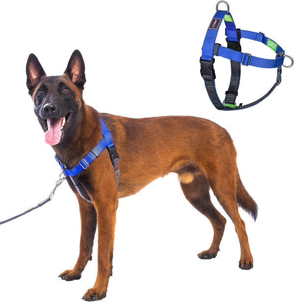 Freedom No Pull Dog Harness, Purple, Large | Designed for Hound Dog Train, Easy Walk with 2 Stainless D-Rings, Sewn-In Instructions Tags, 60-80 Lbs14