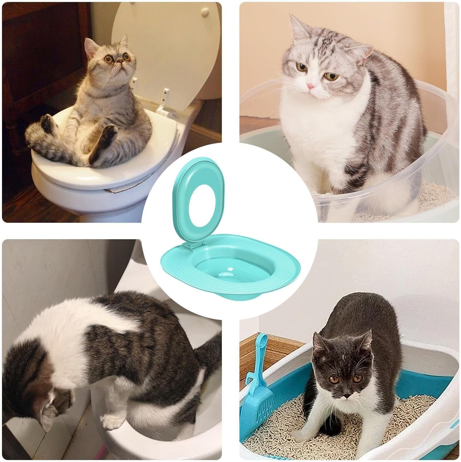 cat-toilet-trainer-15-35-inches-ppcat-litter-tray-suction-cup-fixation-pad-bathroom-training-tool-for-kitten-adult-feline-home-hygiene-waste-reduction-and-daily-pet-use