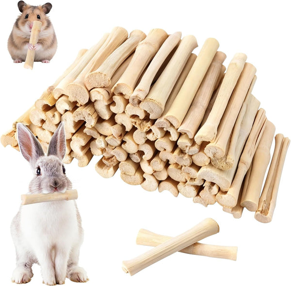 2Lb Sweet Bamboo Chew Sticks for Rabbits & Guinea Pigs - Natural Molar Teething Treats, 60-75 Sticks, Dental Grinding Toys for Hamsters, Chinchillas, Rats & Small Animals8