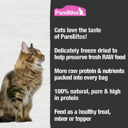 Purebites Freeze Dried Salmon Cat Treats 57G | 1 Ingredient | Made in USA (Packaging May Vary)5