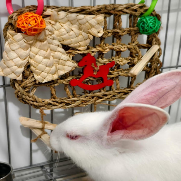 Rabbits Chew Toy,Bunny Cage Hanging Chew Toys and Treats,Grass with Sweet Bamboo for Guinea Pigs Chinchillas Hamsters Rats6
