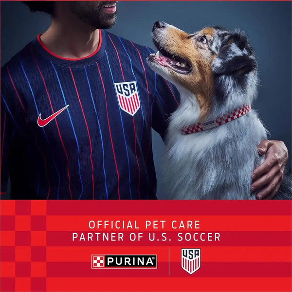 Purina ONE Natural, Sensitive Stomach Dry Dog Food, +Plus Skin & Coat Formula - 31.1 Lb. Bag3