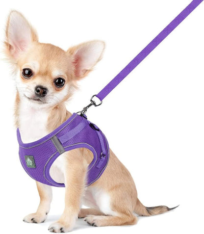 Feimax Dog Harness and Leash Set, No Pull Breathable Soft Mesh Puppy Vest Harness Reflective Adjustable Pet Harnesses for Small Medium Dogs and Cats - Outdoor Easy Control for Walking12
