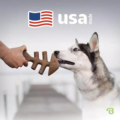 Benebone Fishbone Durable Dog Chew Toy for Aggressive Chewers, Real Fish, Made in USA, Medium5
