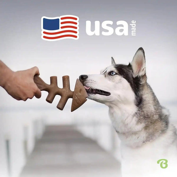 Benebone Fishbone Durable Dog Chew Toy for Aggressive Chewers, Real Fish, Made in USA, Medium5