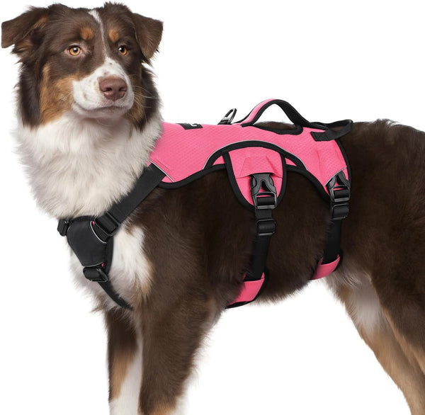 Rabbitgoo Escape Proof Dog Harness for Large, No Pull with Lift Handle | No Escape, Full Soft Padded, Reflective Adjustable Vest, Leash Clip for Walking Hiking Training, Black, Large39