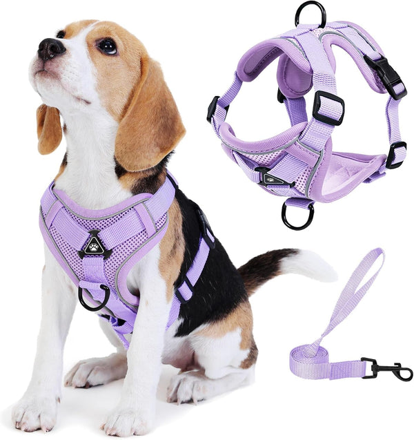 No Pull Dog Harness with Leash Set for Small Sized Dog, Reflective Adjustable No Choke Front Clip Cat Vest Harness with Breathable Mesh, Comfortable Soft Padded Pet Vest, Blue M12