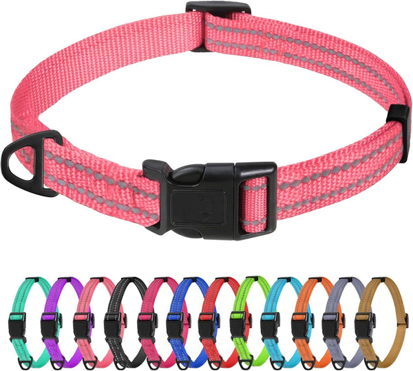 Tagme Small Dog Collar, Reflective Puppy Collar, Sky Blue, 3/8" Width | Lightweight, Nylon Collar for Puppies, Chihuahua, Yorkie & Teacup Dogs 5-15 Lbs, Reflective for Evening Walks, 12 Colors54