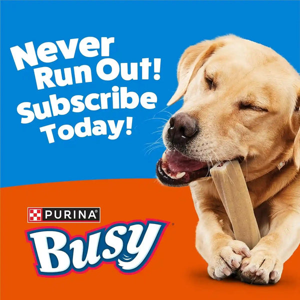 Purina Busy Bone Adult Dog Chew Bone Treats, Peanut Butter - 10 Ct. Pouch11