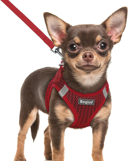Eagloo Small Dog Harness and Leash Set, Step in Small Sized Puppy Pet Vest | Light, Soft, Breathable Air Mesh, Easy on and off with Hook & Loop, Reflective for Safe Walking, Pink, S49