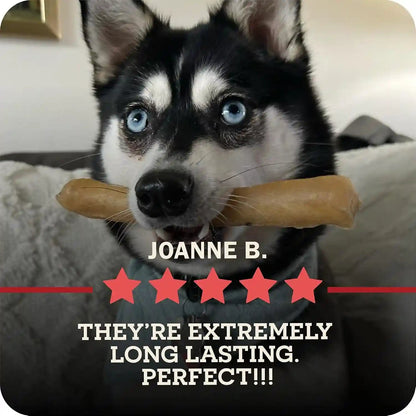 Redbarn Pet Products All-Natural Large 12" Beef Collagen Sticks for Dogs - Long Lasting Low-Odor Alternative to Traditional Rawhide & Bully Sticks - Supports Healthy Joints, Skin, & Coat - 3 Pack11